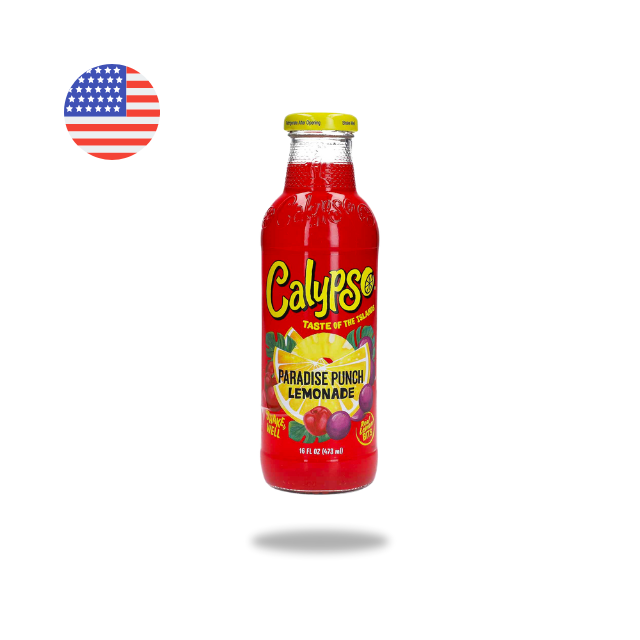 Calypso Paradise Punch Lemonade 473ml – Epaa!